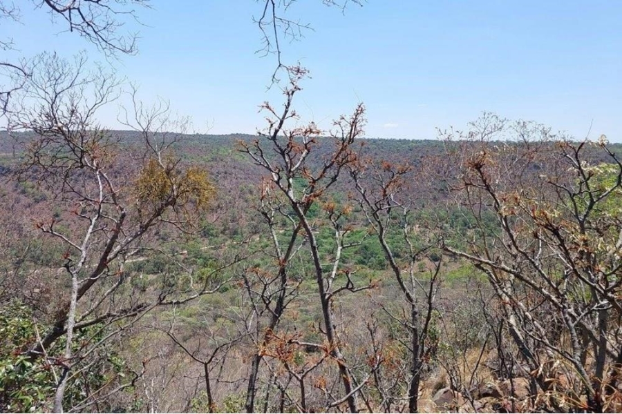 0 Bedroom Property for Sale in Marulani Private Nature Reserve Limpopo