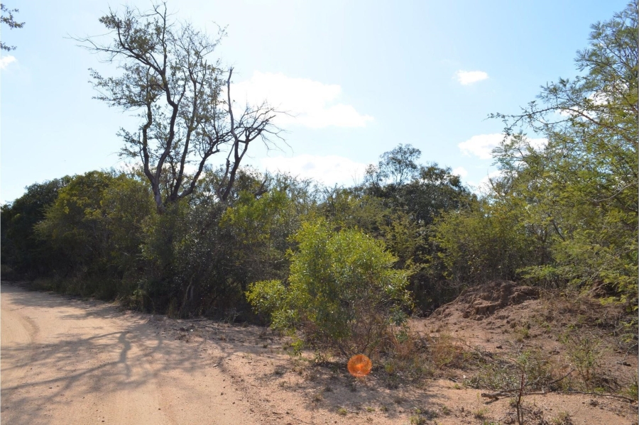 0 Bedroom Property for Sale in Moditlo Wildlife Estate Limpopo
