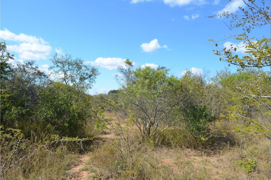 0 Bedroom Property for Sale in Moditlo Wildlife Estate Limpopo