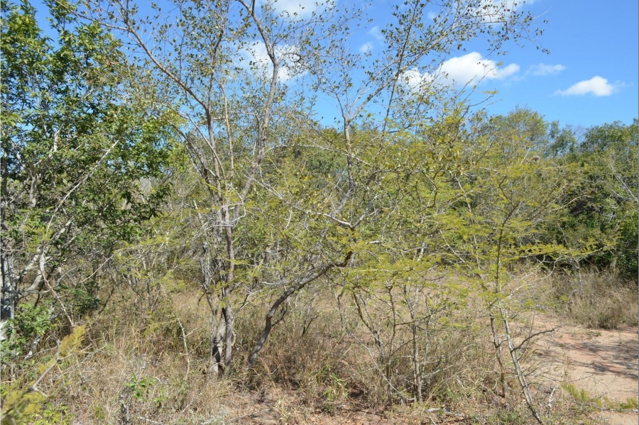 0 Bedroom Property for Sale in Moditlo Wildlife Estate Limpopo