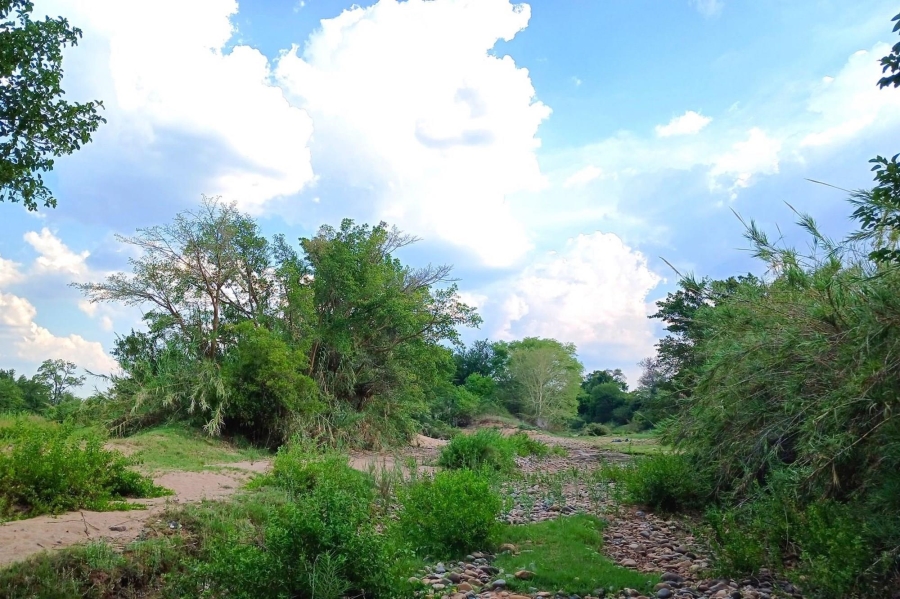 0 Bedroom Property for Sale in Elephant Rock Eco Estate Limpopo
