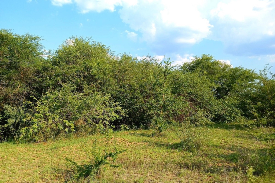 0 Bedroom Property for Sale in Elephant Rock Eco Estate Limpopo