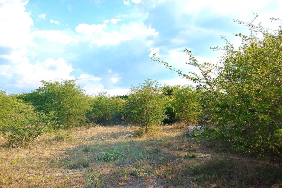 0 Bedroom Property for Sale in Elephant Rock Eco Estate Limpopo