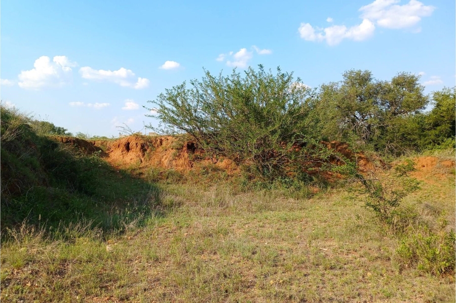 0 Bedroom Property for Sale in Elephant Rock Eco Estate Limpopo