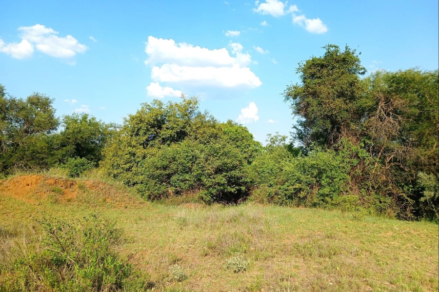 0 Bedroom Property for Sale in Elephant Rock Eco Estate Limpopo