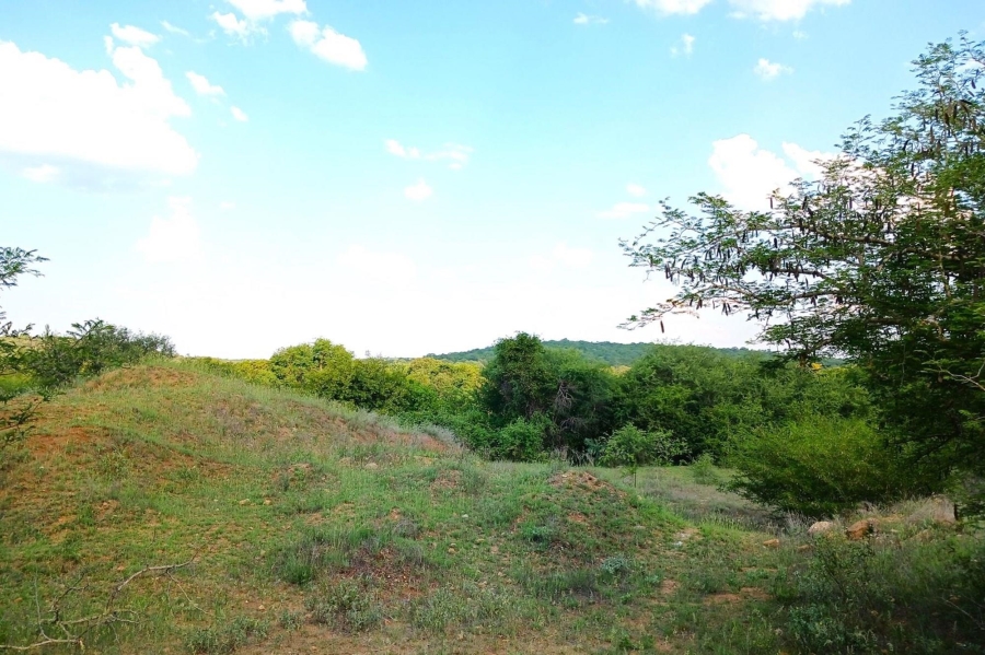 0 Bedroom Property for Sale in Elephant Rock Eco Estate Limpopo