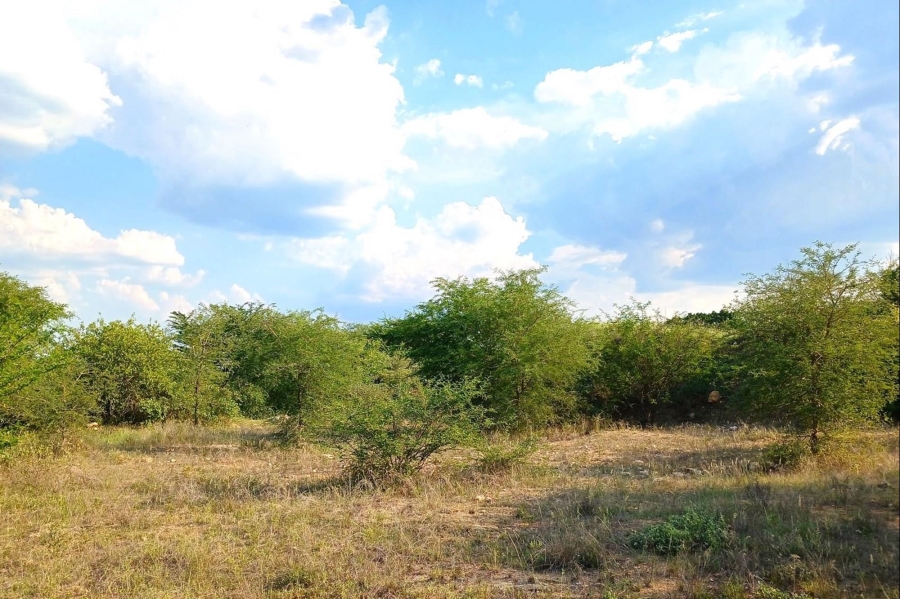 0 Bedroom Property for Sale in Elephant Rock Eco Estate Limpopo