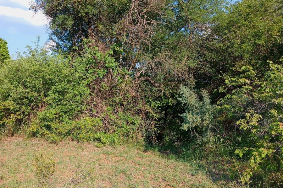 0 Bedroom Property for Sale in Elephant Rock Eco Estate Limpopo