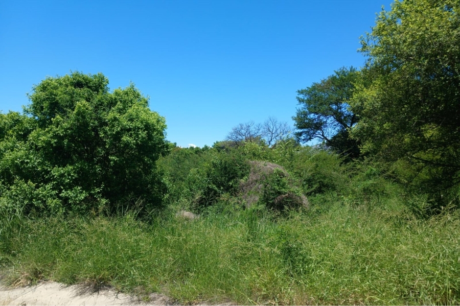 0 Bedroom Property for Sale in Kampersrus Limpopo