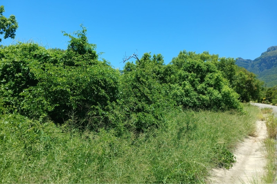 0 Bedroom Property for Sale in Kampersrus Limpopo