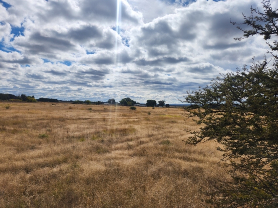0 Bedroom Property for Sale in Kalkfontein A H Limpopo