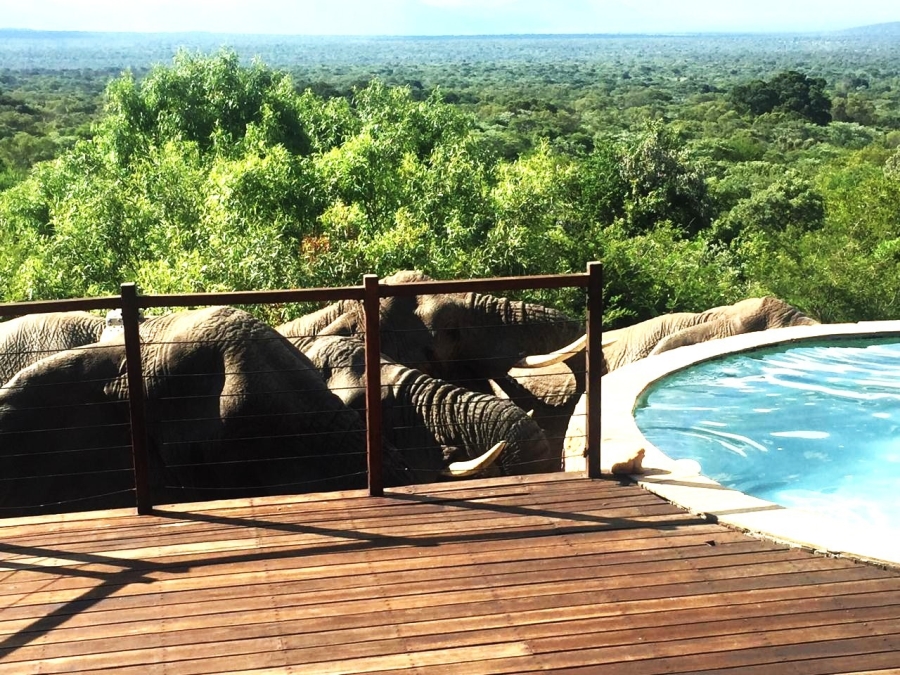 4 Bedroom Property for Sale in Bela Bela Limpopo