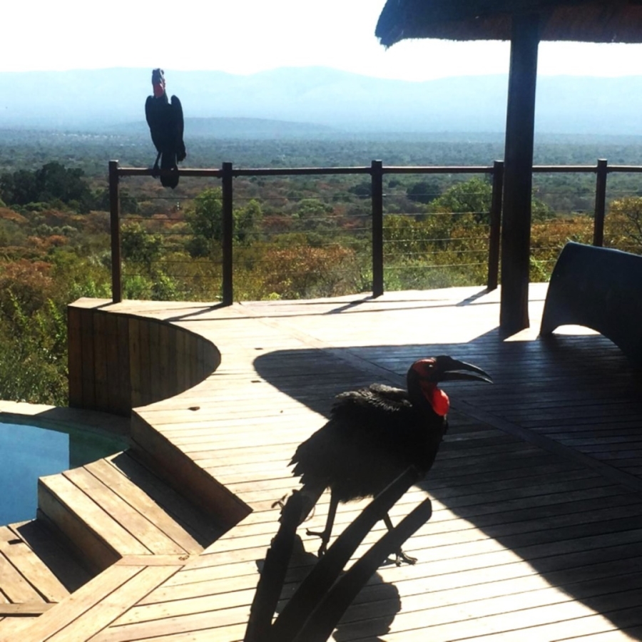 4 Bedroom Property for Sale in Bela Bela Limpopo
