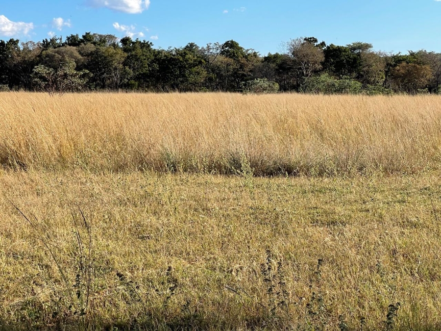 3 Bedroom Property for Sale in Vaalwater Limpopo