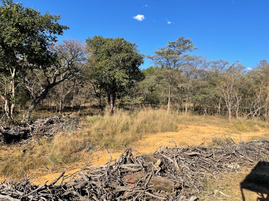 3 Bedroom Property for Sale in Vaalwater Limpopo