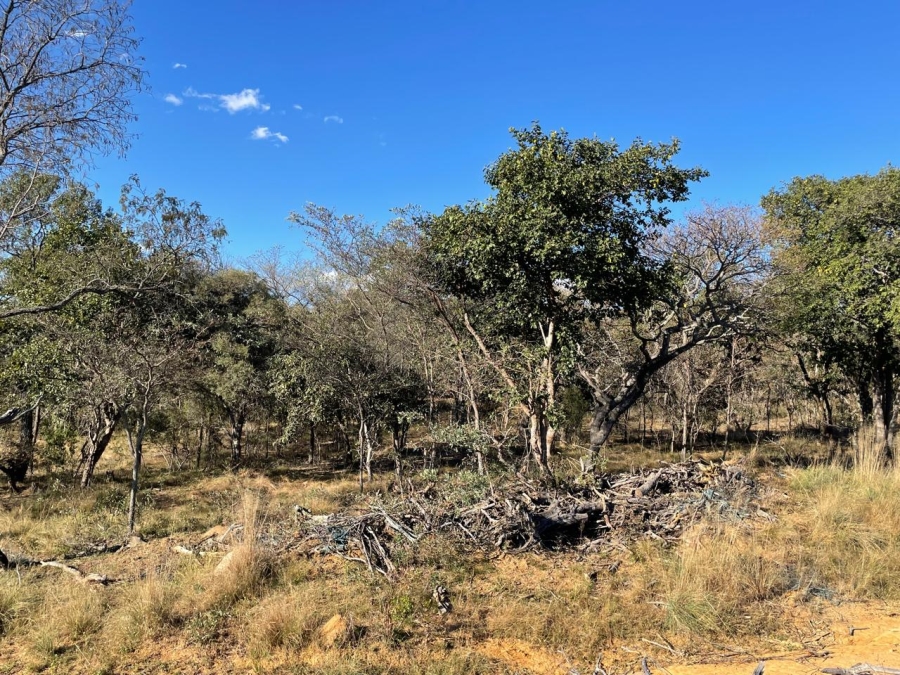 3 Bedroom Property for Sale in Vaalwater Limpopo