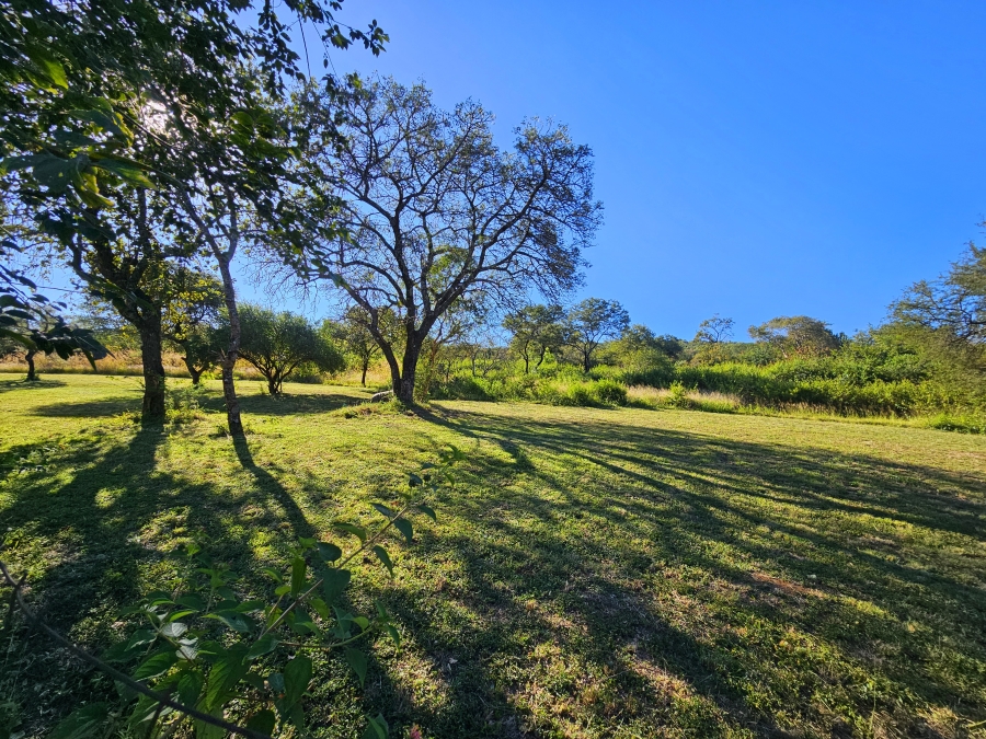 3 Bedroom Property for Sale in Louis Trichardt Limpopo