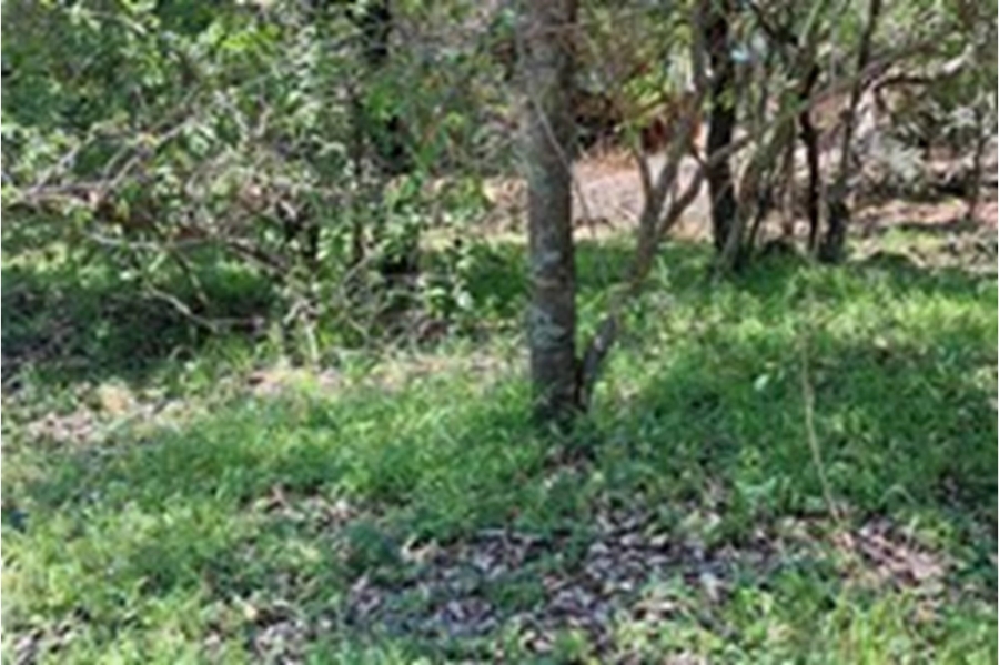 0 Bedroom Property for Sale in Leeupoort Limpopo