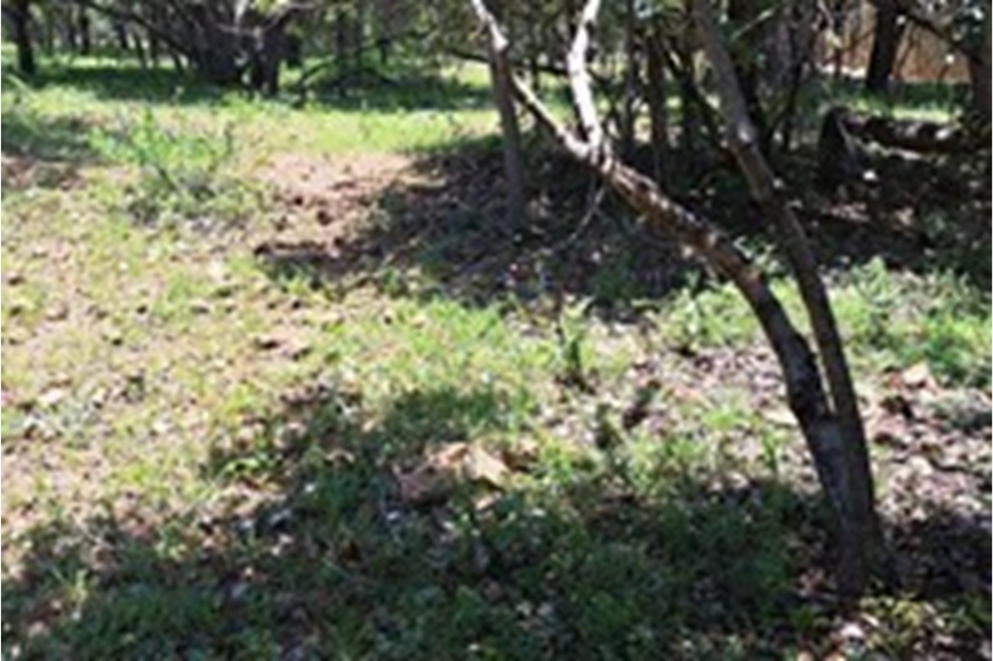 0 Bedroom Property for Sale in Leeupoort Limpopo