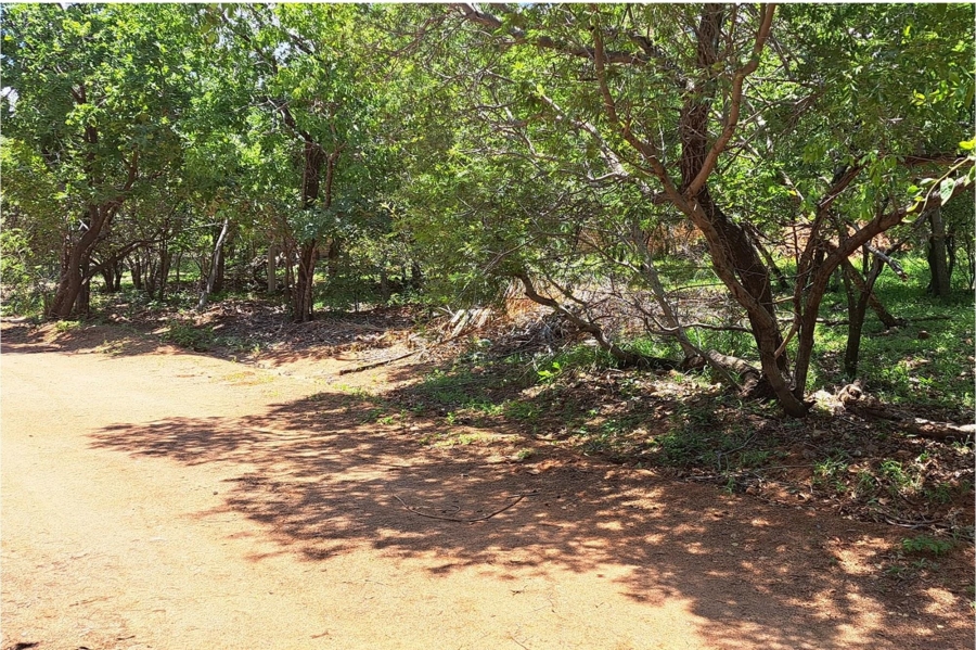 0 Bedroom Property for Sale in Leeupoort Limpopo