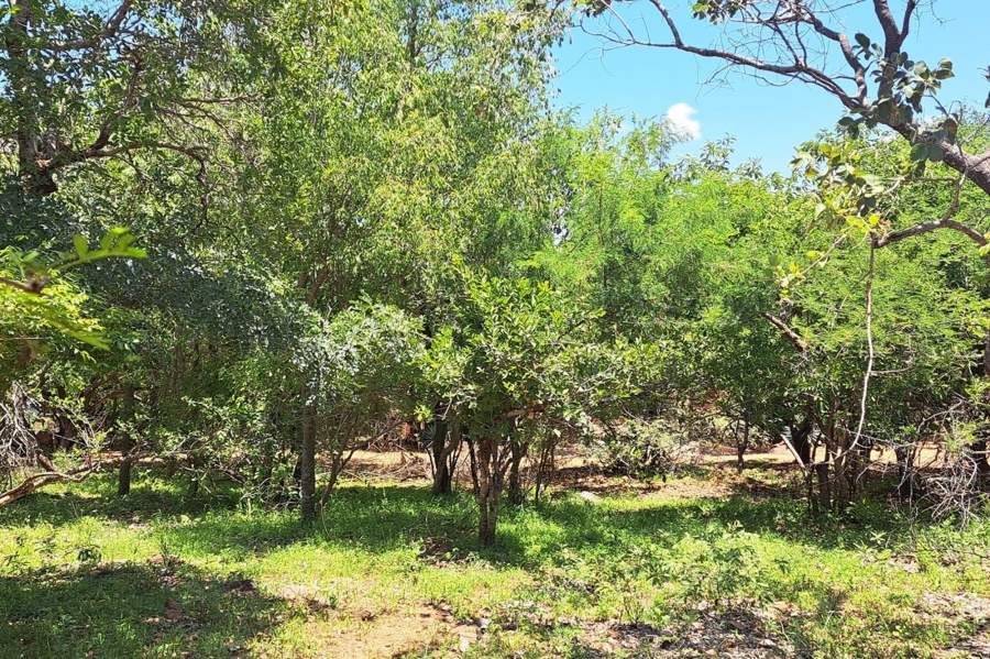 0 Bedroom Property for Sale in Leeupoort Limpopo