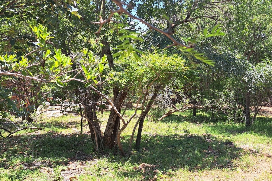 0 Bedroom Property for Sale in Leeupoort Limpopo