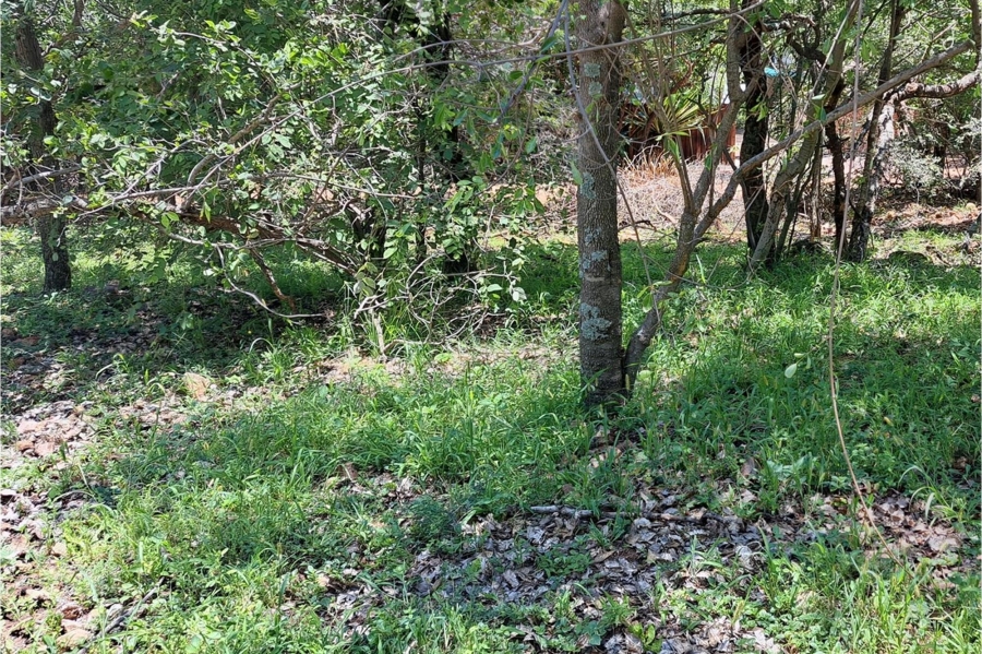 0 Bedroom Property for Sale in Leeupoort Limpopo