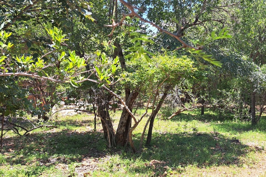 0 Bedroom Property for Sale in Leeupoort Limpopo