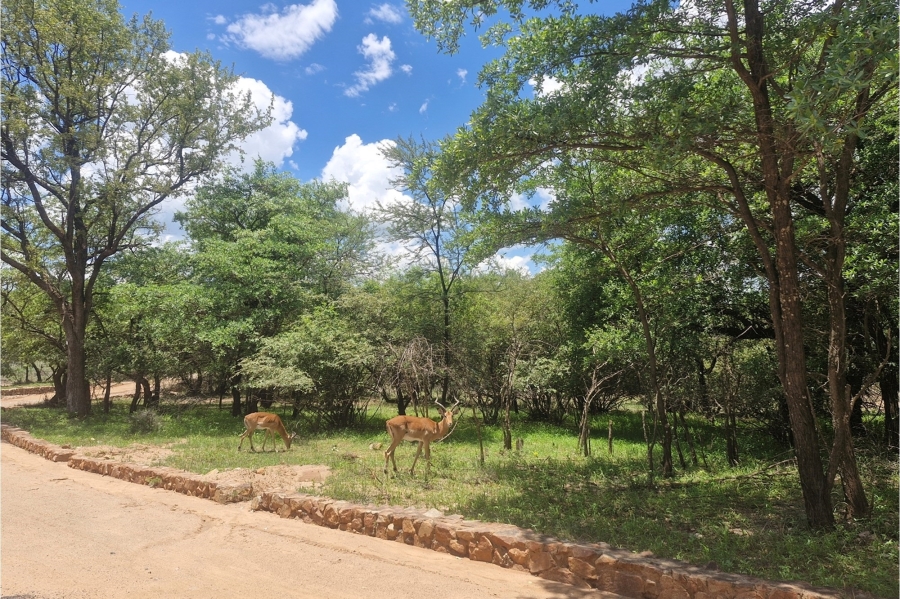 0 Bedroom Property for Sale in Leeupoort Limpopo