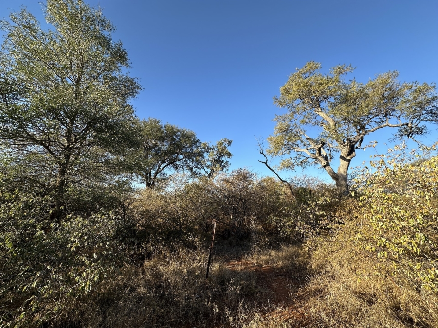 0 Bedroom Property for Sale in Raptors View Wildlife Estate Limpopo