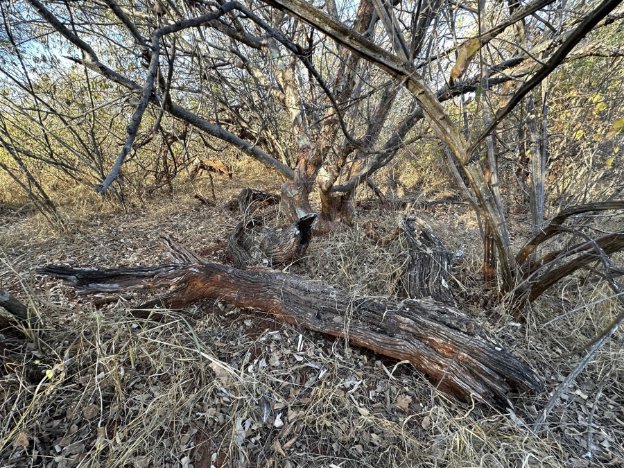 0 Bedroom Property for Sale in Raptors View Wildlife Estate Limpopo
