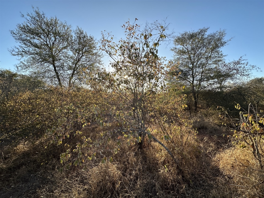 0 Bedroom Property for Sale in Raptors View Wildlife Estate Limpopo
