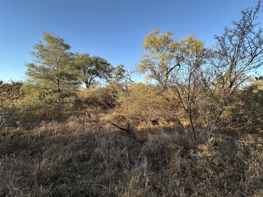 0 Bedroom Property for Sale in Raptors View Wildlife Estate Limpopo