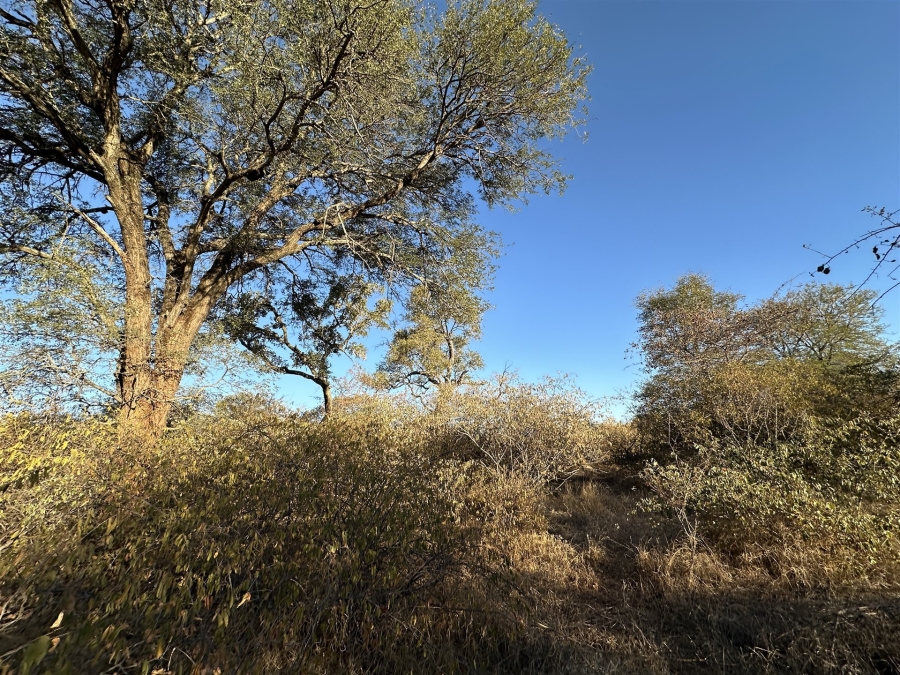0 Bedroom Property for Sale in Raptors View Wildlife Estate Limpopo