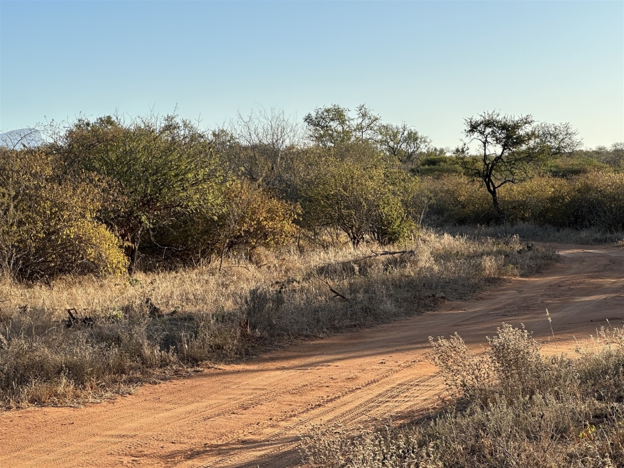 0 Bedroom Property for Sale in Raptors View Wildlife Estate Limpopo