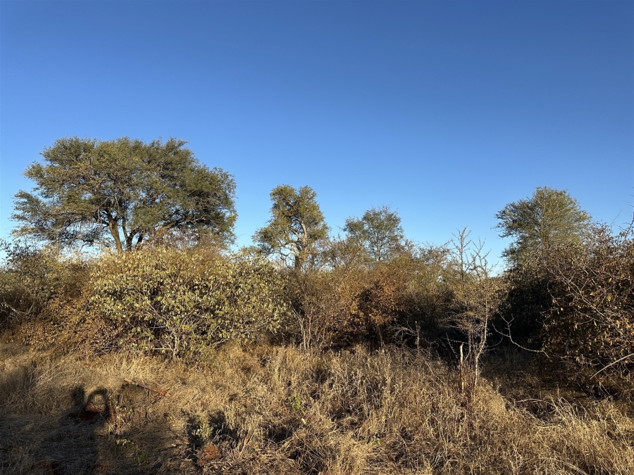 0 Bedroom Property for Sale in Raptors View Wildlife Estate Limpopo