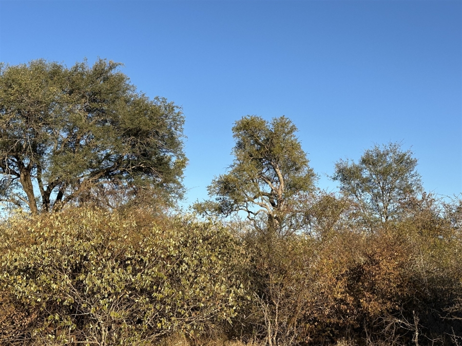 0 Bedroom Property for Sale in Raptors View Wildlife Estate Limpopo