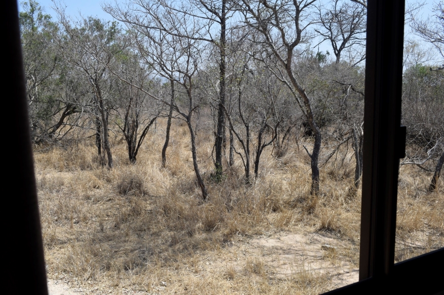 3 Bedroom Property for Sale in Moditlo Wildlife Estate Limpopo