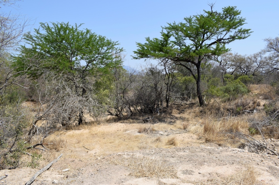 3 Bedroom Property for Sale in Moditlo Wildlife Estate Limpopo