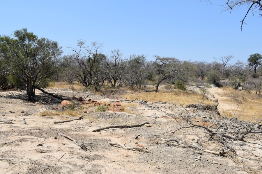 3 Bedroom Property for Sale in Moditlo Wildlife Estate Limpopo