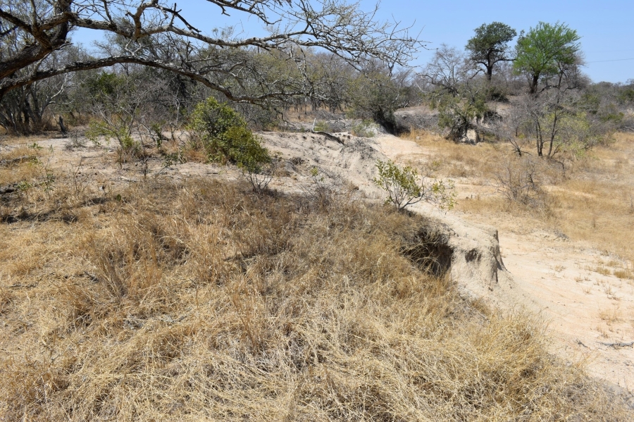 3 Bedroom Property for Sale in Moditlo Wildlife Estate Limpopo