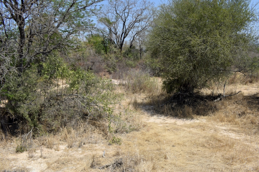 3 Bedroom Property for Sale in Moditlo Wildlife Estate Limpopo