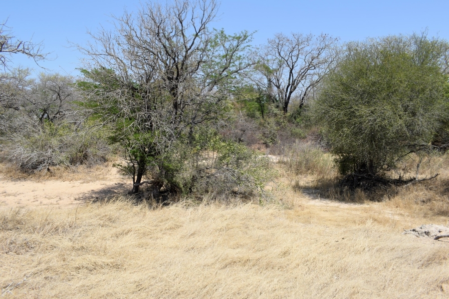 3 Bedroom Property for Sale in Moditlo Wildlife Estate Limpopo