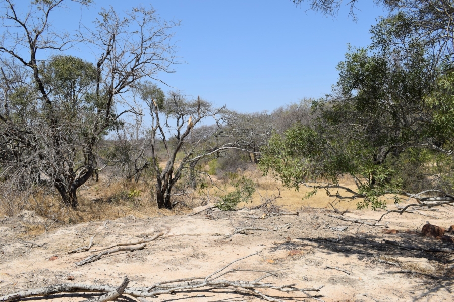 3 Bedroom Property for Sale in Moditlo Wildlife Estate Limpopo