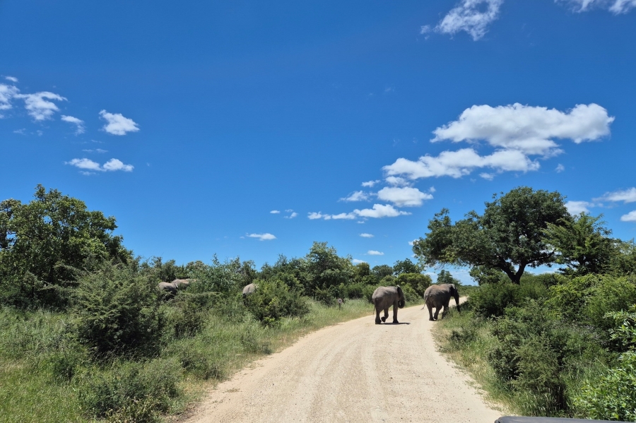 3 Bedroom Property for Sale in Moditlo Wildlife Estate Limpopo