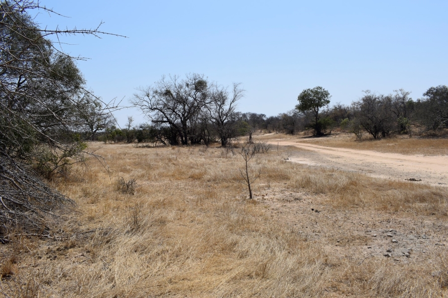 3 Bedroom Property for Sale in Moditlo Wildlife Estate Limpopo