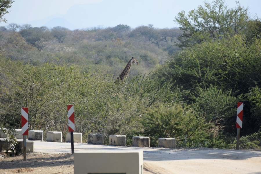 3 Bedroom Property for Sale in Moditlo Wildlife Estate Limpopo