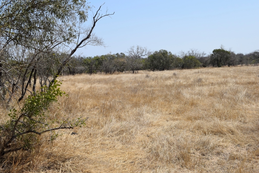 3 Bedroom Property for Sale in Moditlo Wildlife Estate Limpopo