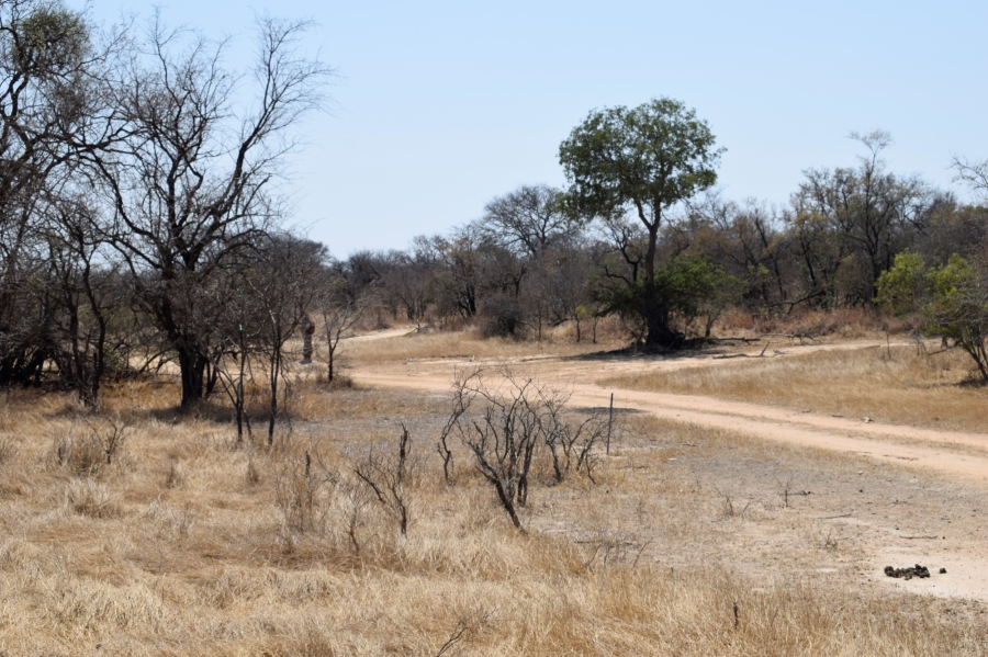 3 Bedroom Property for Sale in Moditlo Wildlife Estate Limpopo