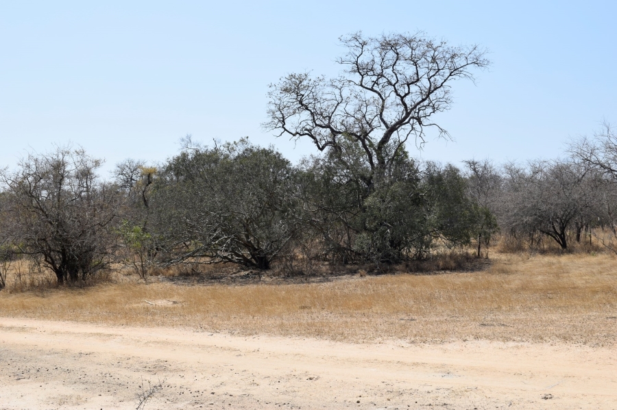 3 Bedroom Property for Sale in Moditlo Wildlife Estate Limpopo
